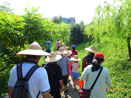 新莊塭仔底溼地公園生