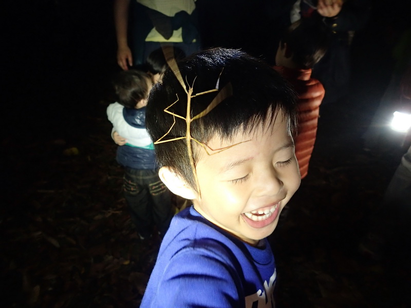 自然觀察－黃蝶翠谷