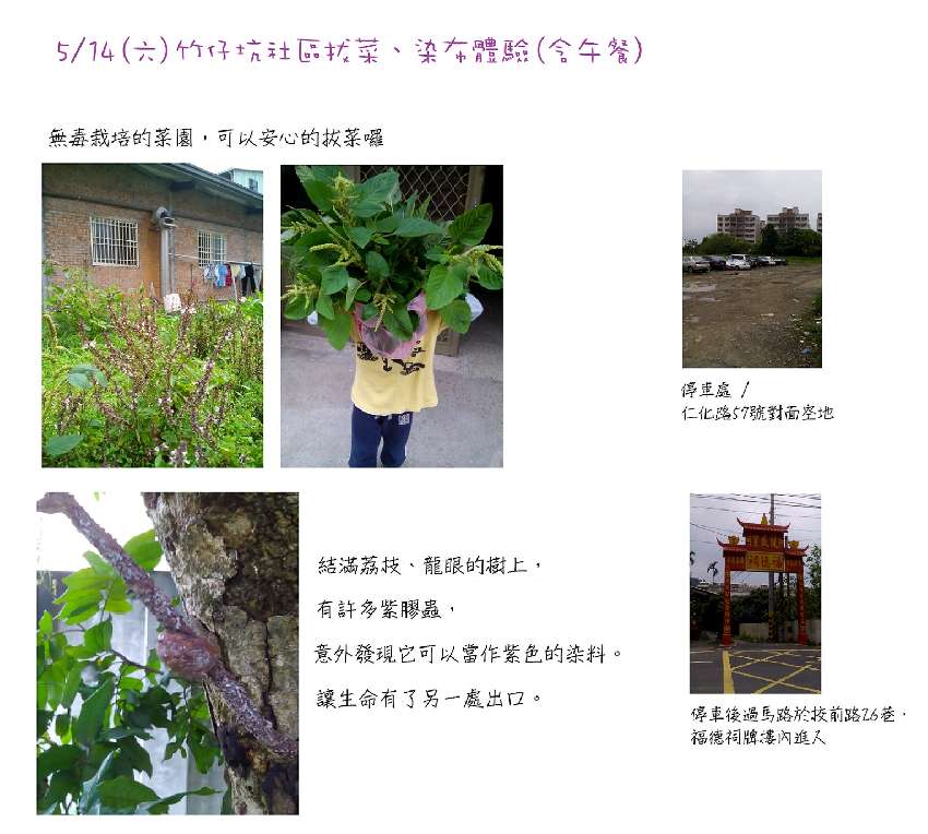 小樹森林[產地之旅]