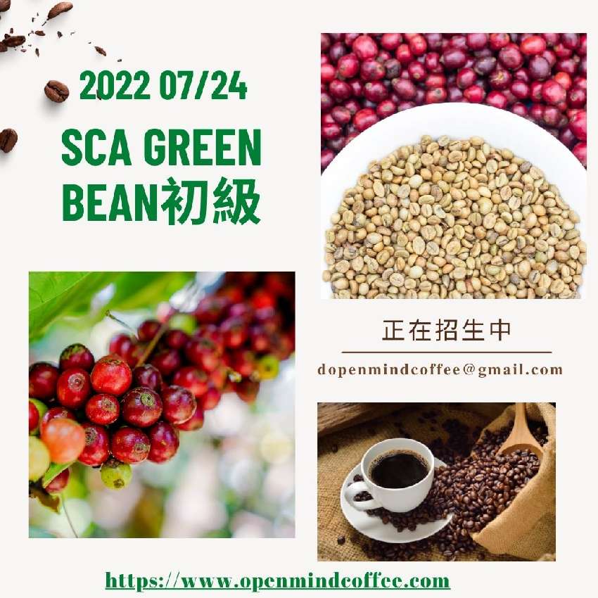 SCA  Green