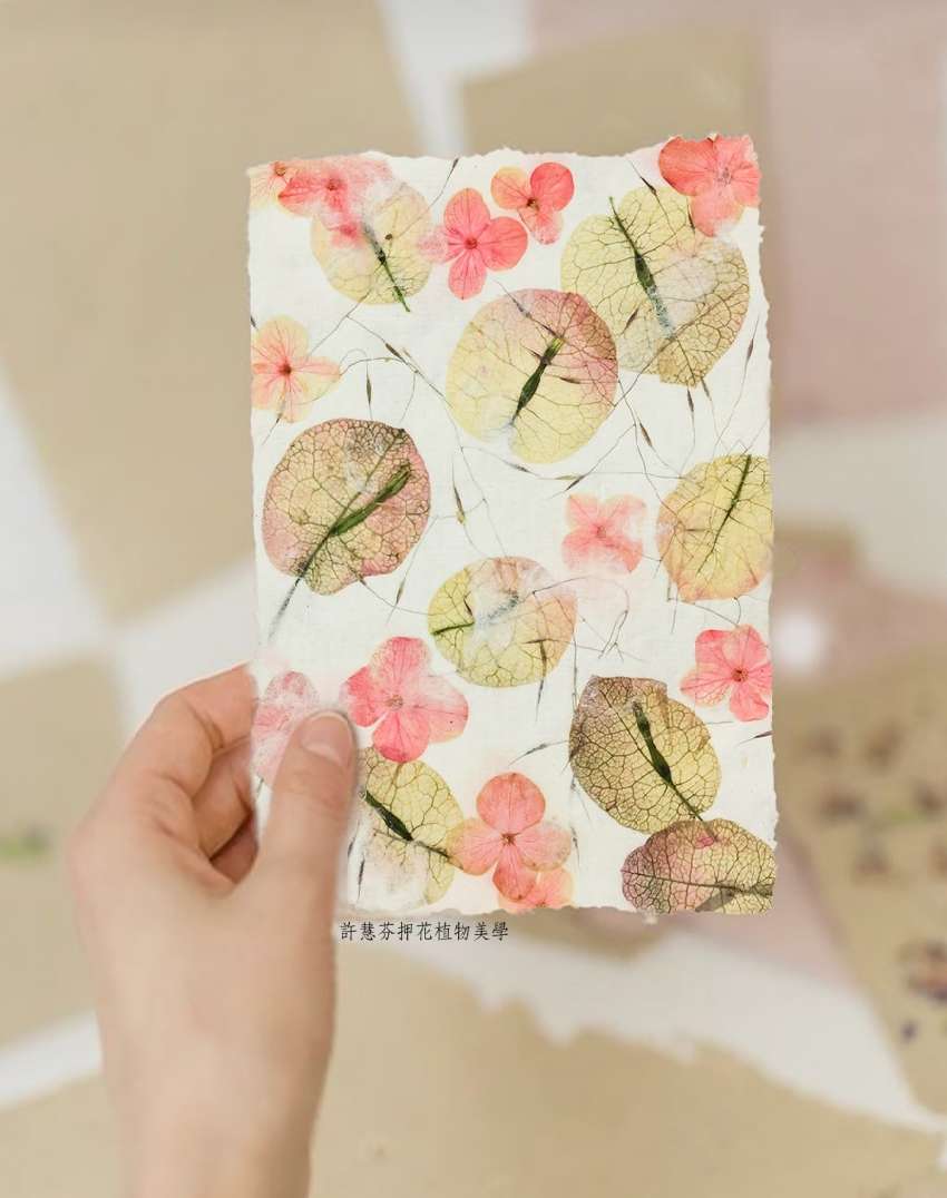 相約在紙上種下一個小