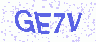 驗證圖碼