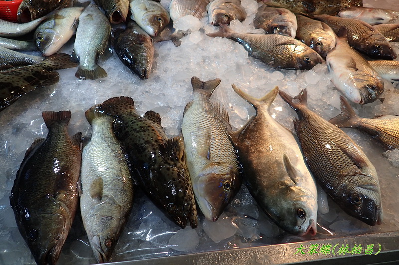 2016澎湖漁產訂購