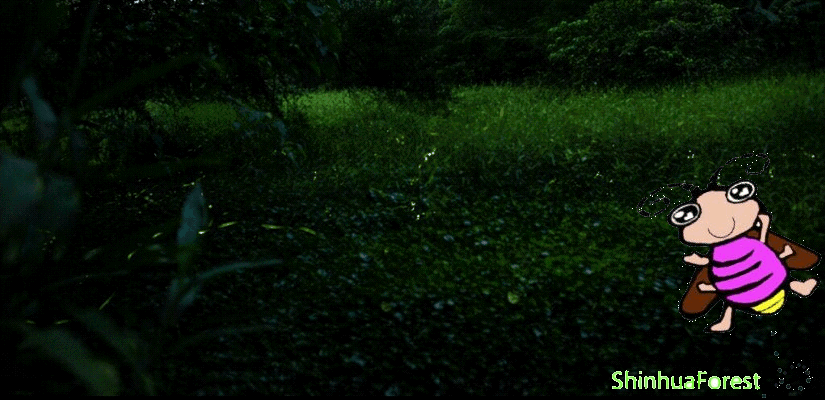 台南住宿 每人840元兩人成行 專人帶領螢火蟲導覽解說團 旅遊 玩樂 Beclass 線上報名系統online Registration Form For 移動裝置 活動日期 2016 05 31