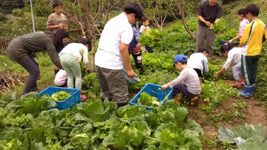 馬丁農夫的田園教室野草花果第23期親子小農夫體驗營 秋季班 週末班週日班 Beclass 線上報名系統online Registration Form For 移動裝置 活動日期 16 09 24 馬丁農夫的田園教室野草花果第23期親子小農夫體驗營 秋季班 週末班週日班 Beclass 線上報名系統online Registration Form For 移動裝置 活動日期 16 09 24