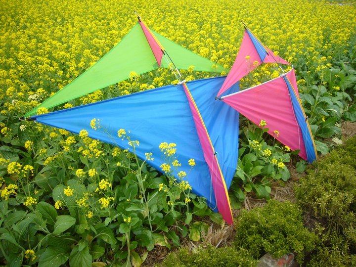 月潭社區風箏文化節