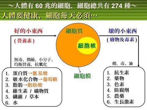 健康樂活分享餐會
