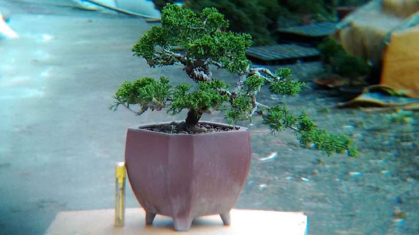 4 23 日 園藝盆栽入門技術課程指導6小時 Beclass 線上報名系統online Registration Form For 移動裝置 活動日期 17 04 23