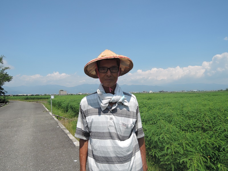 106 年度水田生態