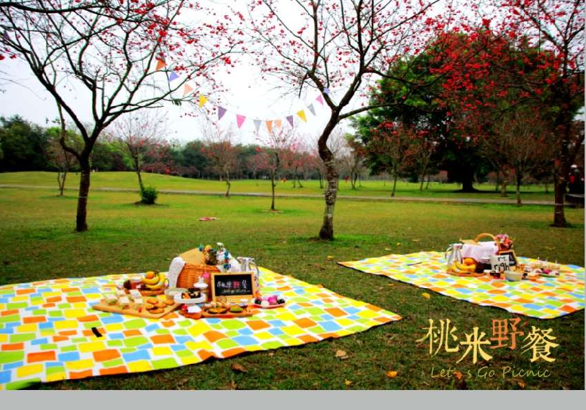 《桃米野餐》—櫻花季