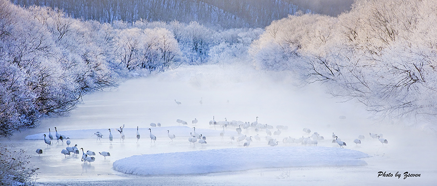 2019-北海道 丹