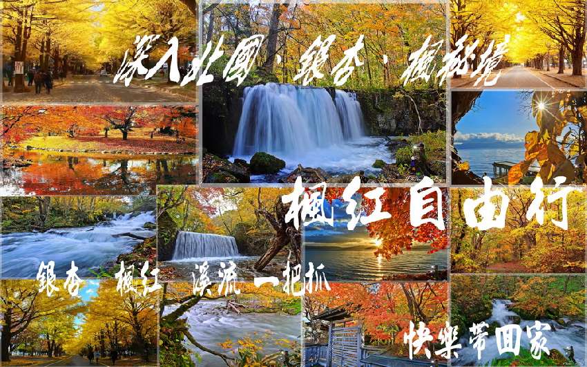 2018 北海道銀杏奧入瀨溪楓葉情7天6夜行程 自由行攝影行程 第一團 攝影 付費活動 Beclass 線上報名系統online Registration Form For 移動裝置 活動日期 2018 10 17