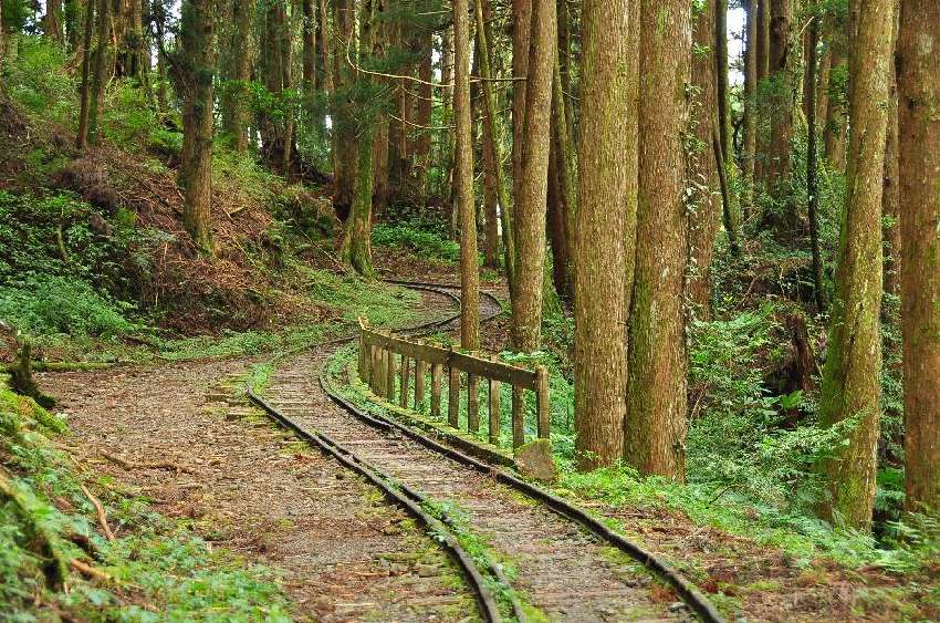 特富野古道-塔塔加生