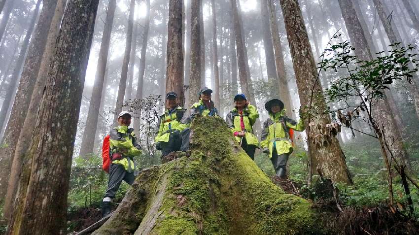 【台中市健康登山協會