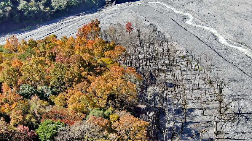 【台中市健康登山協會