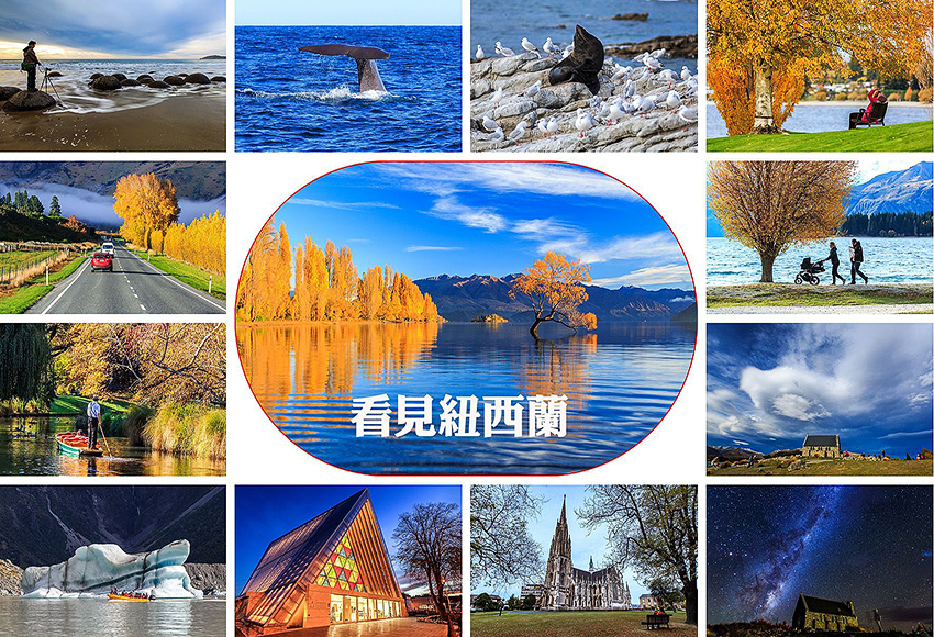 2019å¹´åé¢æ