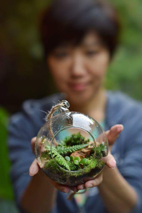 苔蘚微景觀生態缸diy教學 Diy活動 Diy體驗 手作課程 Beclass 線上報名系統online Registration Form For 移動裝置 苔蘚微景觀生態缸 2018 08 24