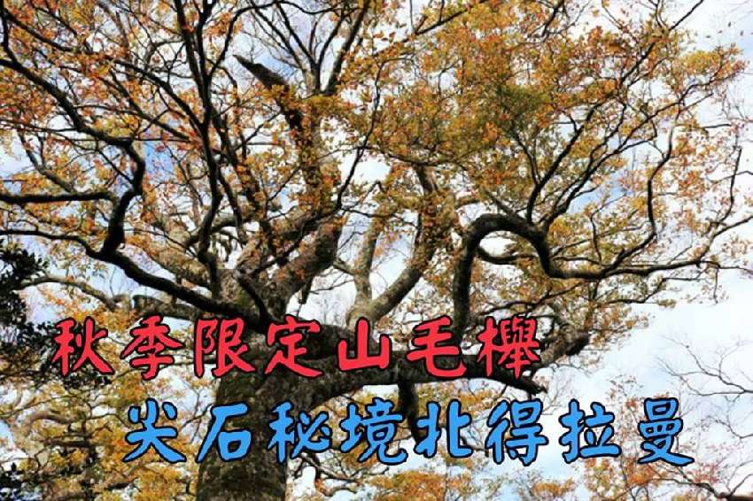 ãåå¾ææ¼å±±æ¯æ«¸ãçåçæå°çµæ