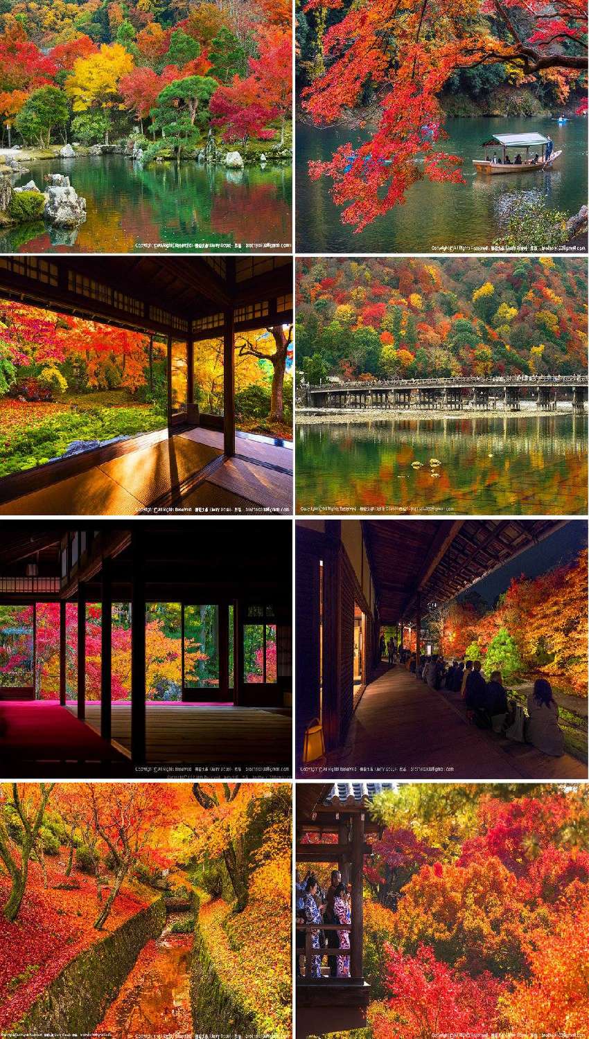 傑瑞大叔 18究極完全版的 18京都紅葉五日團 Beclass 線上報名系統online Registration Form For 移動裝置 活動日期 18 11 22