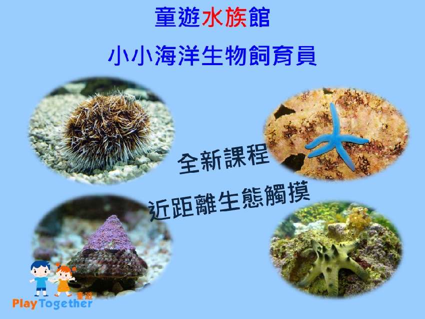 童遊水族林口分館4月