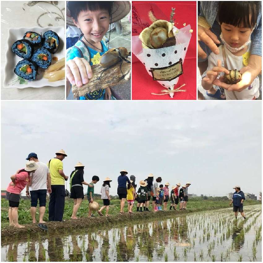 台南佳里漳洲【翻滾吧