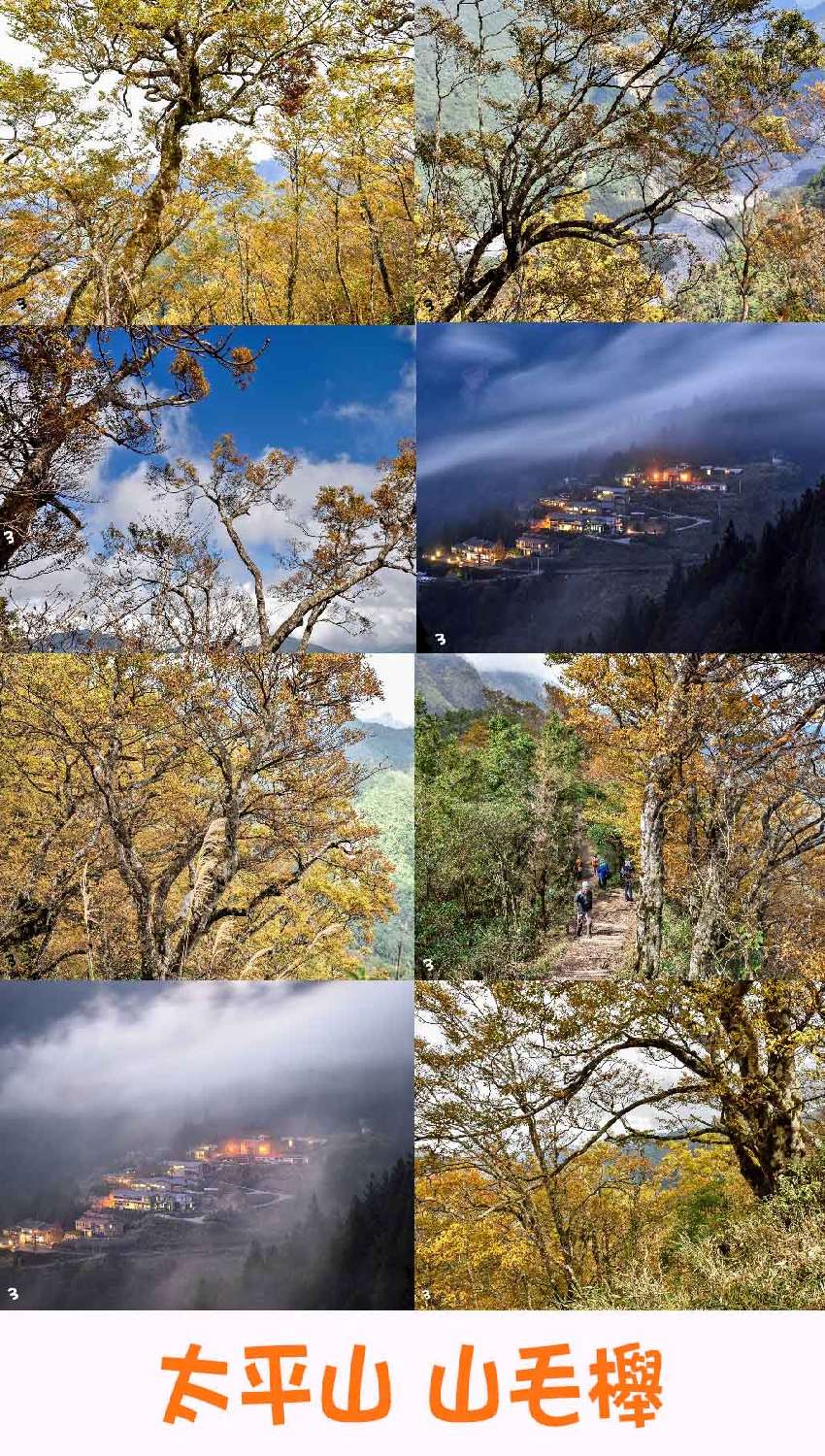 三樓開攝團 太平山山毛櫸國家步道 攝影 付費活動 Beclass 線上報名系統online Registration Form For 移動裝置 活動日期 2019 11 02