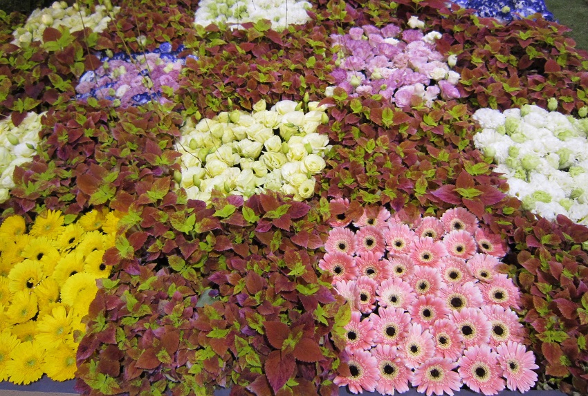 彩遊花趣 創意花毯展示推廣活動參加辦法 文化 藝文 Beclass 線上報名系統online Registration Form For 移動裝置 活動日期 2019 11 02