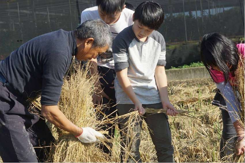 新竹市客家文化節系列