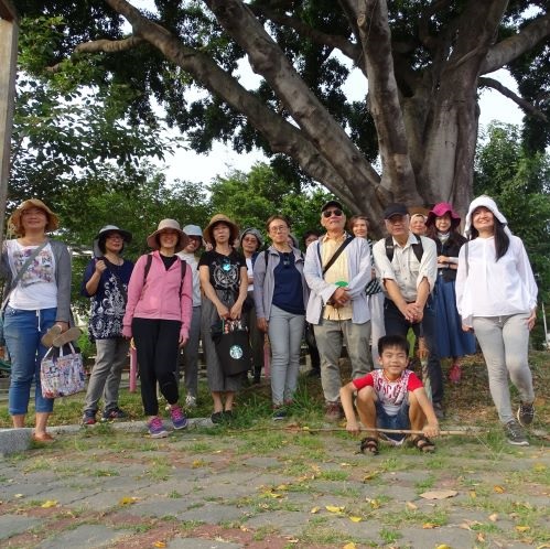 一座公園，一棵樹與一