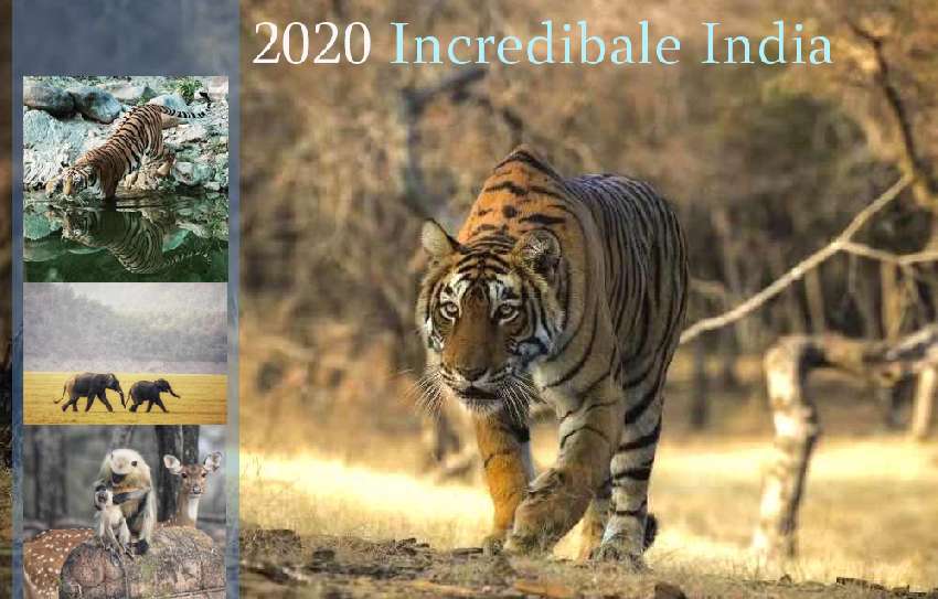 印度野生動物保護區獵