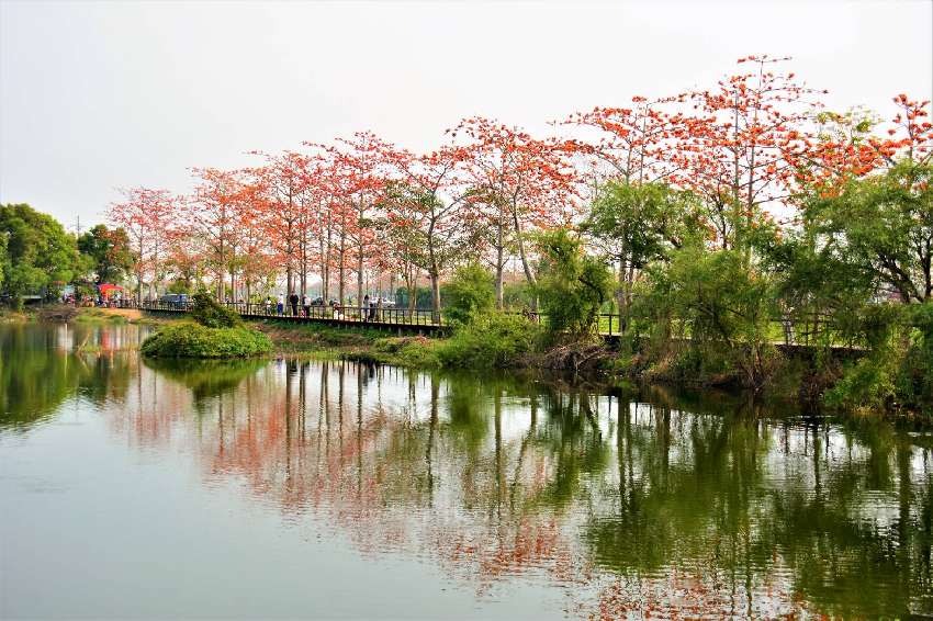木棉花季系列活動來鄉下住一晚 跟著木棉訪農村二日遊 第二梯次 3 14 3 15 旅遊 玩樂 付費活動 Beclass 線上報名系統online Registration Form For 移動裝置 活動日期 03 14