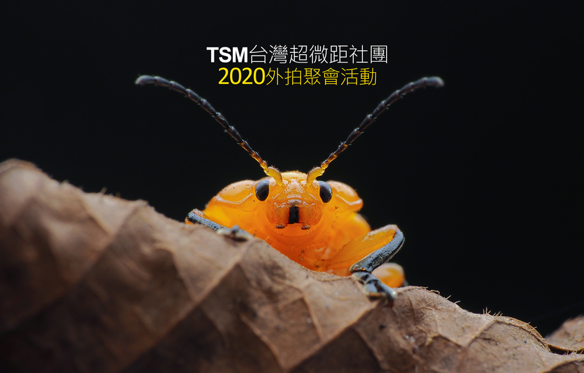 TSM台灣超微距社團