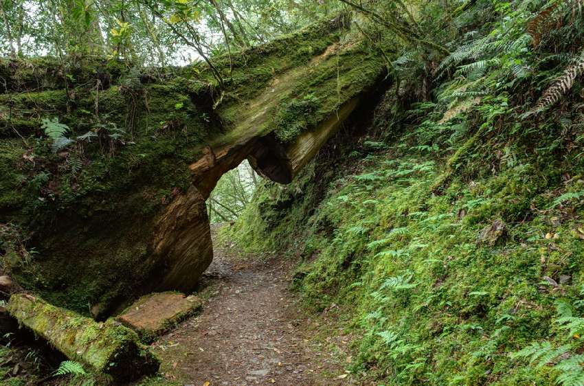 拉拉山住宿 巴福越嶺道全程 幽靈瀑布2天 10 11出發 登山 健行 付費活動 Beclass 線上報名系統online Registration Form For 移動裝置 活動日期 2020 10 11