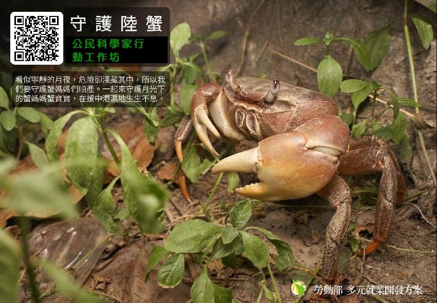 月光下 守護陸蟹媽媽 公民科學家行動工作坊 援中港陸蟹調查及教育活動 Diy活動 Diy體驗 手作課程 付費活動 暑期 寒假 國小 Beclass 線上報名系統 月光下 守護陸蟹媽媽 公民科學家行動工作坊 援中港陸蟹調查及教育活動 Diy活動 Diy體驗 手作課程 付費活動 暑期 寒假 國小 Beclass 線上報名系統