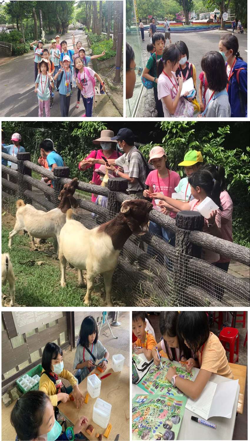 110年寒假【動物奇