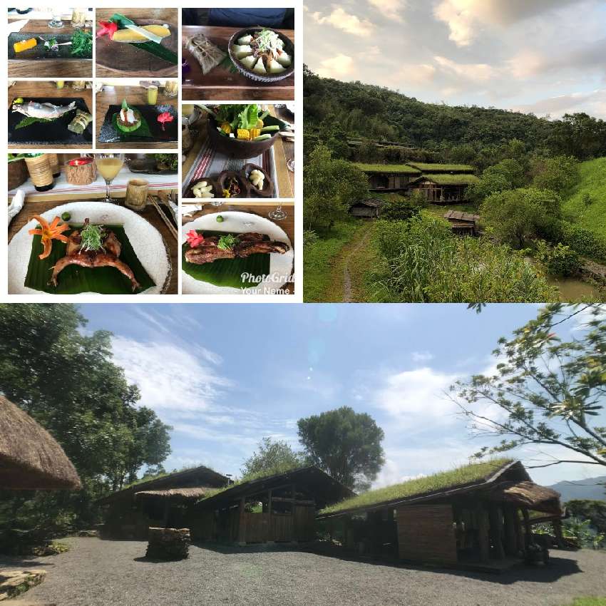 🥃品味人生的香氣|宜