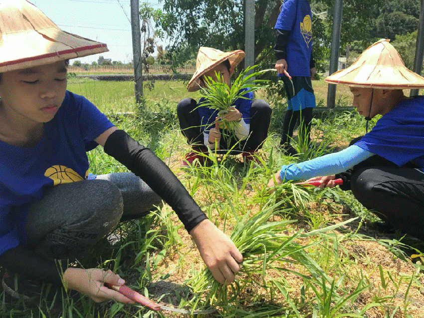我是小小農夫之農村生活體驗 Diy活動 Diy體驗 手作課程 付費活動 幼兒 親子 Beclass 線上報名系統online Registration Form For 移動裝置 與承辦人員聯繫