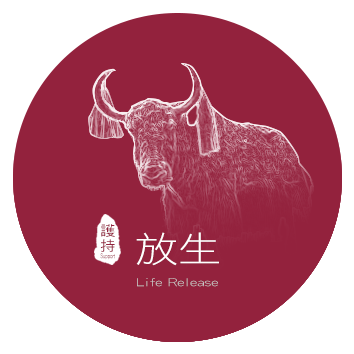 護持放生(請於利生福