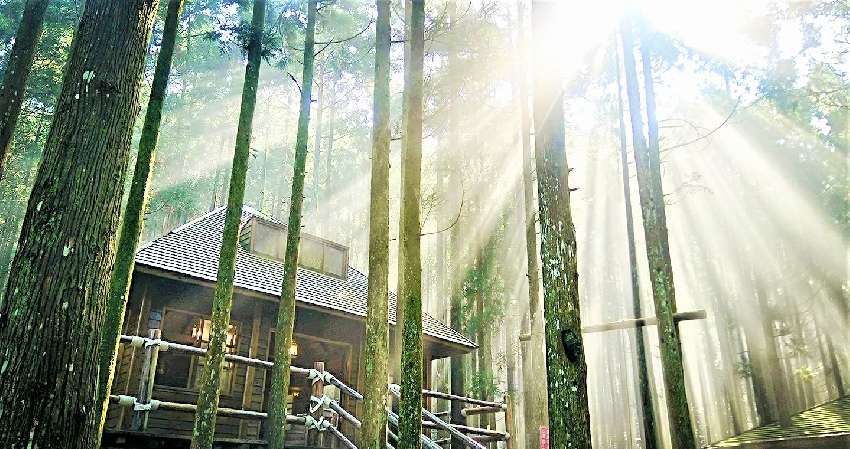 馬武督森林綠光小學賞桐 登關西最高峰外鳥嘴山 不登山團員可園區賞桐與瀑布 登山 健行 Beclass 線上報名系統