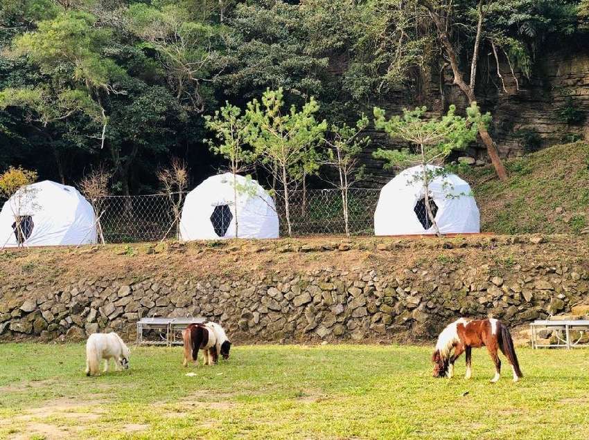 赫利豐岳馬術夏令營