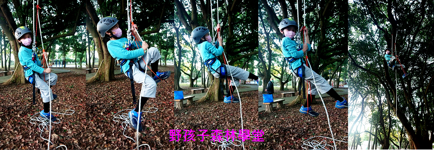 2025野孩子森林學