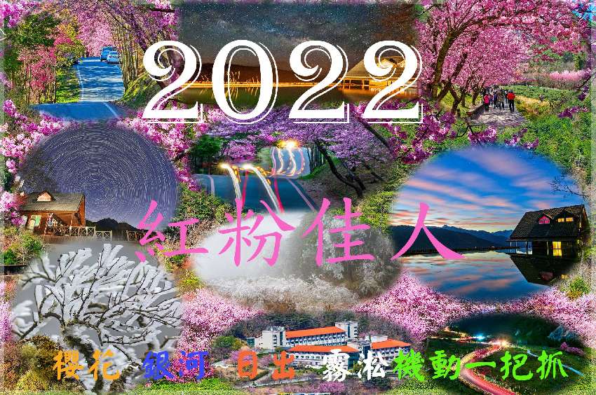 2022武陵紅粉佳人