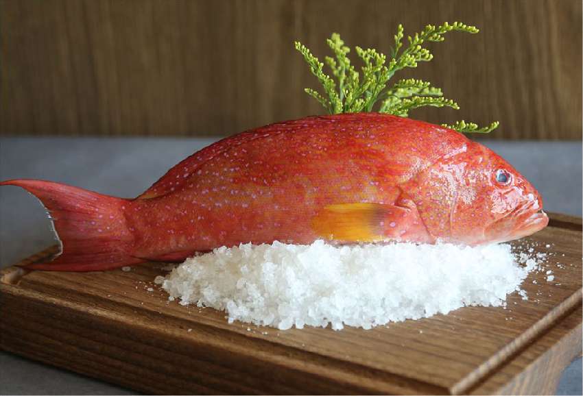 海裡撈的紅條魚
