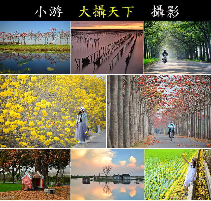 My Image 102