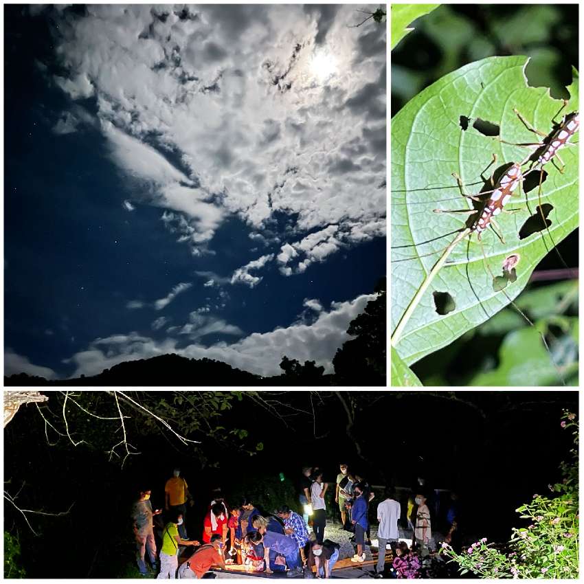 「夜探知本」國家森林