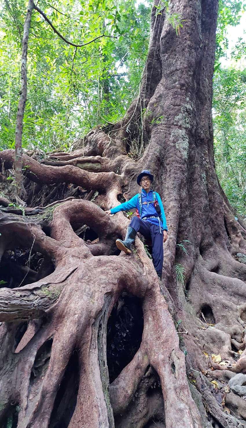 【台中市健康登山協會