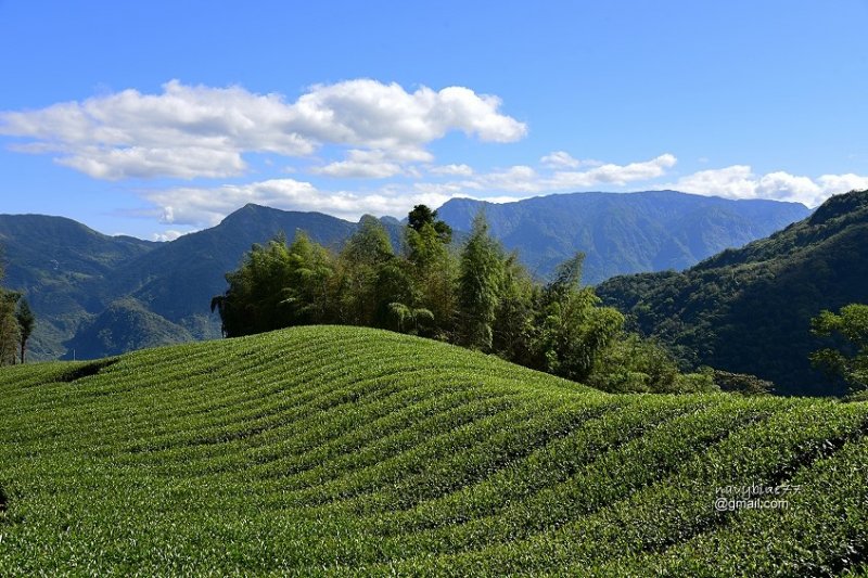 屏警登山會112年奮