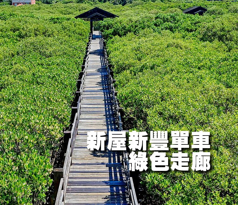 【台中市健康登山協會