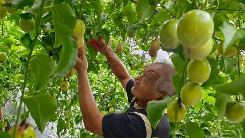 2023白河蓮花季跨