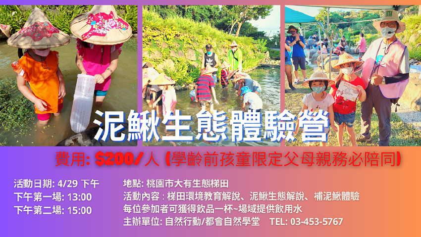 都市農夫-泥鰍生態體